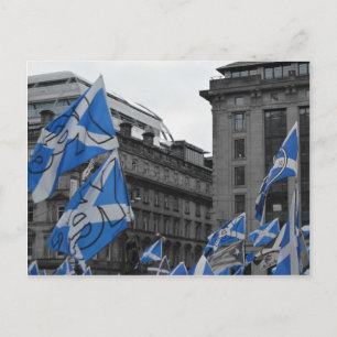 Scottish Flags Fly Proudly in Glasgow Postcard