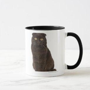 Scottish Fold (18 months old) sitting Mug
