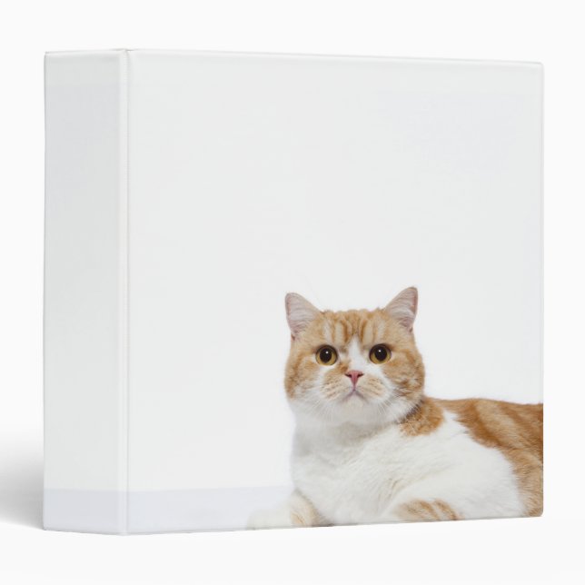 Scottish Fold Cat Binder (Front/Spine)
