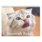 Scottish Fold Cat Calendar