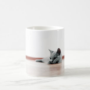 Scottish Fold Cat Kitten Super Cute Coffee Mug
