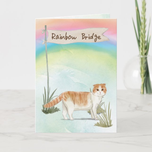Scottish Fold Cat Pet Sympathy Over Rainbow Bridge Card (Front)