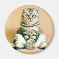 Scottish Fold Cat Sitting Portrait