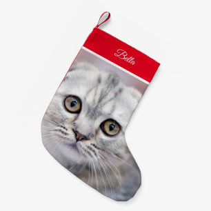 Scottish Fold Christmas Stocking
