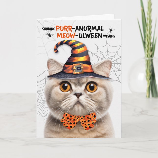 Scottish Fold Cream Cat PURRanormal MEOWolween Holiday Card (Front)