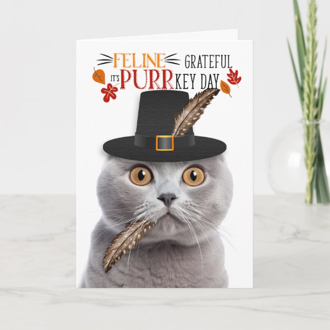 Scottish Fold Grey Cat Grateful for PURRkey Day Holiday Card (Front)