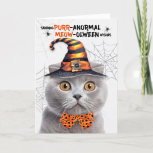 Scottish Fold Grey Cat PURRanormal MEOWolween Holiday Card
