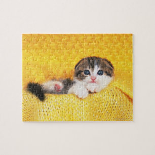 Scottish Fold Jigsaw Puzzle