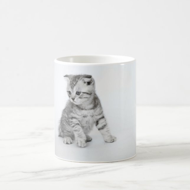 Scottish Fold Kitten Coffee Mug (Center)