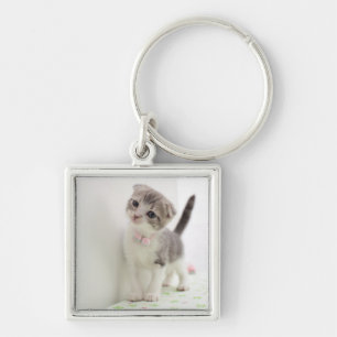 Scottish Fold Kitten Keychain