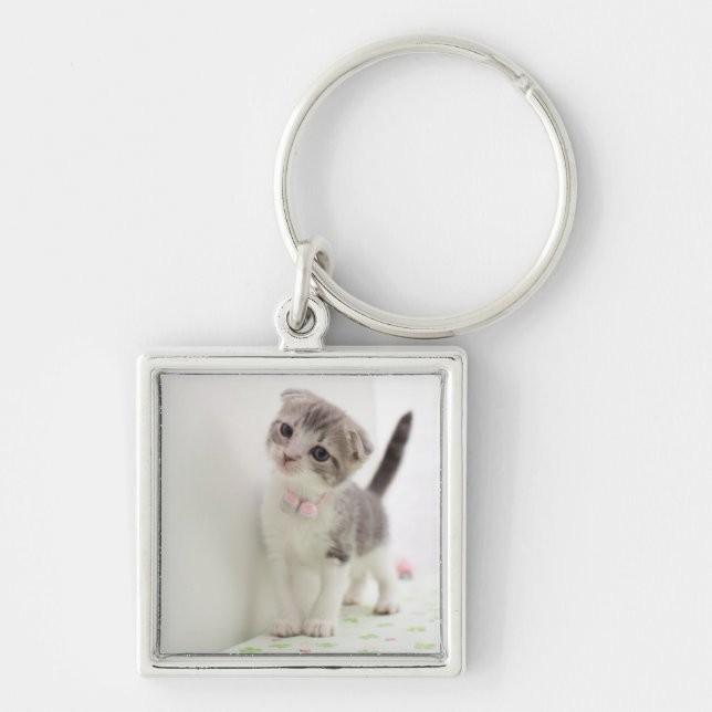 Scottish Fold Kitten Keychain (Front)