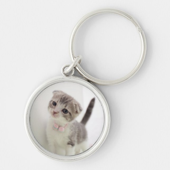 Scottish Fold Kitten Keychain (Front)