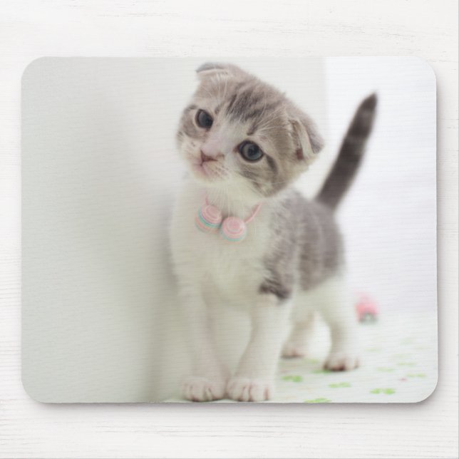 Scottish Fold Kitten Mouse Pad (Front)