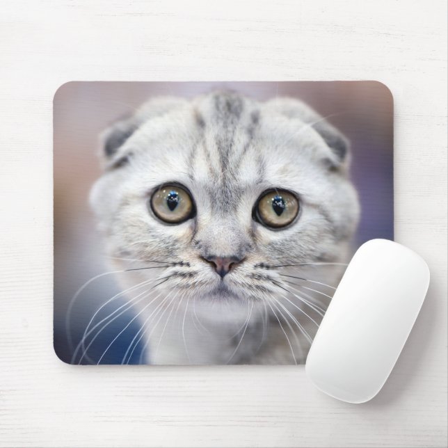 Scottish Fold Mouse Pad (With Mouse)