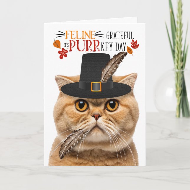 Scottish Fold Orange Cat Grateful for PURRkey Day Holiday Card (Front)