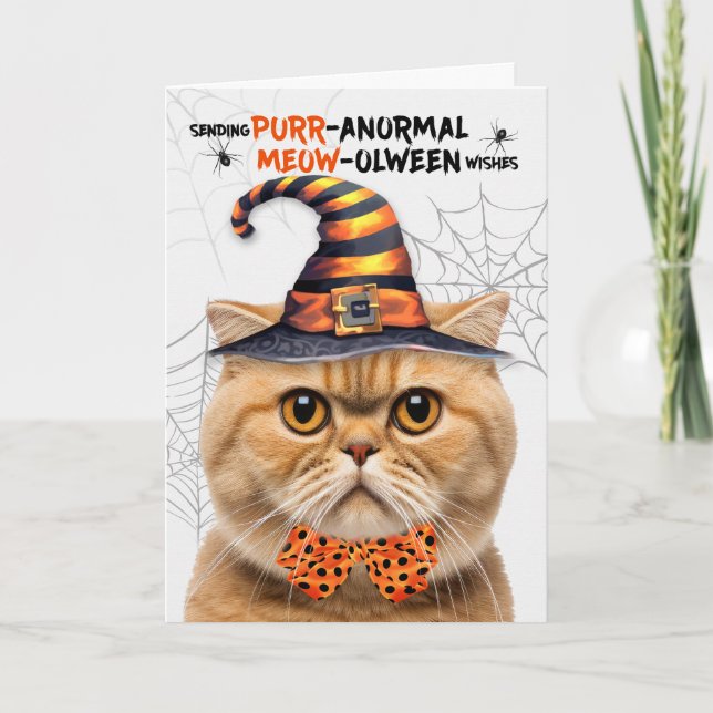 Scottish Fold Orange Cat PURRanormal MEOWolween Holiday Card (Front)