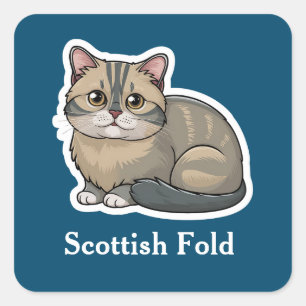 Scottish Fold Square Sticker