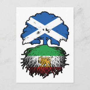 Scottish Grown Iranian Roots Lion and Sun Postcard