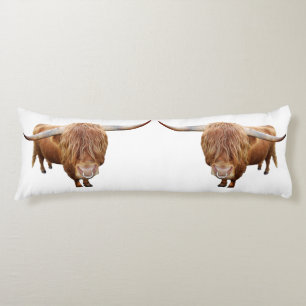 Scottish highland cattle body pillow