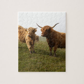 Scottish Highland Cattle - Greener Pastures! Jigsaw Puzzle