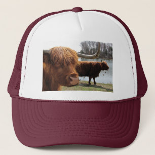 Scottish Highland Cattle ~ hat