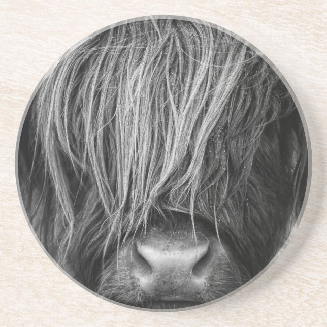 Scottish Highland Cattle - Scotland Coaster (Front)