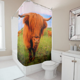 Scottish Highland Cow