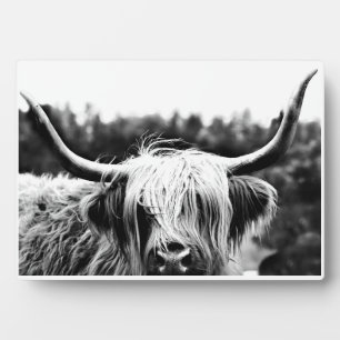 Scottish Highland Cow Black and White Rustic Boho Plaque