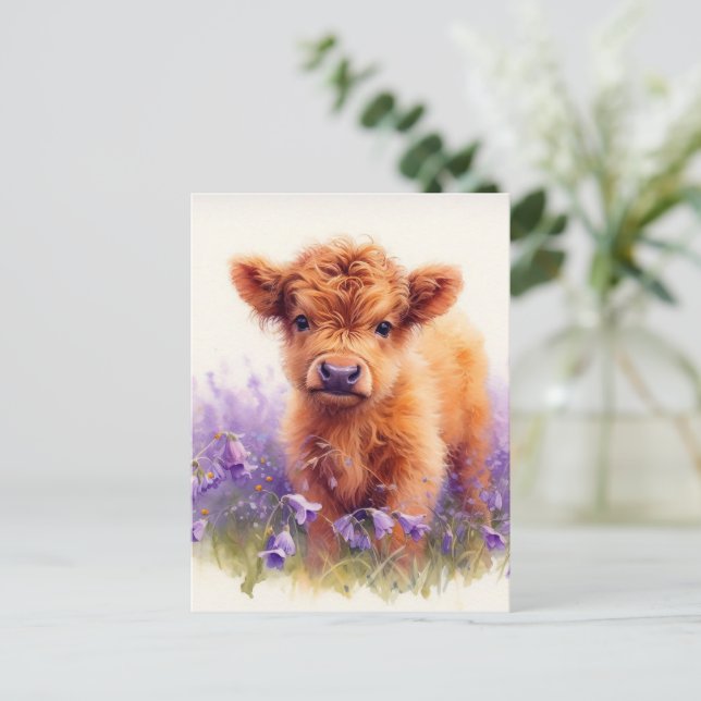 Scottish Highland Cow Calf Purple Wildflowers Postcard (Standing Front)