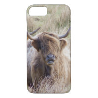 Scottish Highland Cow