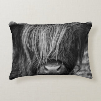 Scottish Highland Cow, Cattle, Bull Accent Pillow