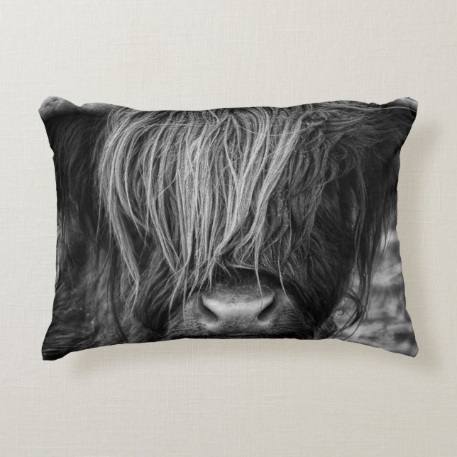 Scottish Highland Cow, Cattle, Bull Accent Pillow (Front)