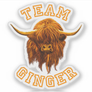 Scottish Highland Cow Celebrates Team Ginger