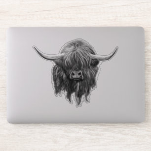 Scottish Highland Cow In Black And White