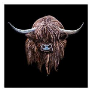 Scottish Highland Cow In Colour Poster