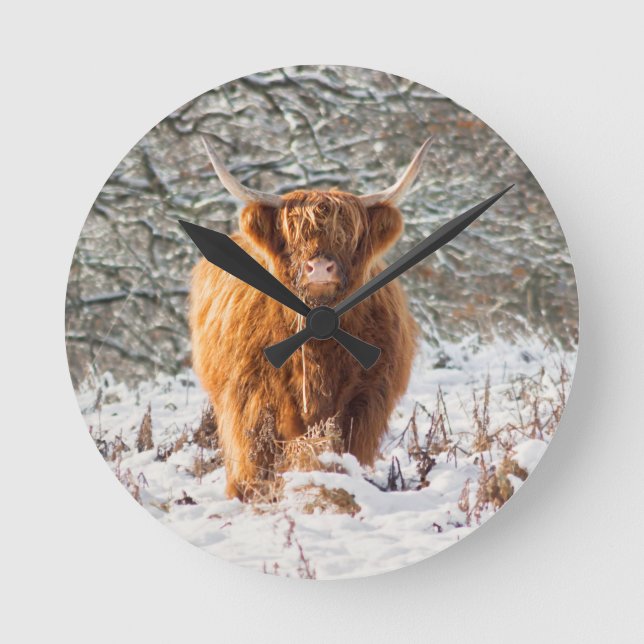 Scottish Highland cow in the snow Round Clock (Front)