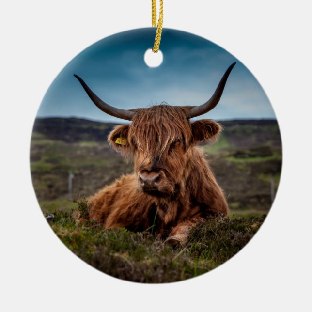 Scottish Highland Cow Longhorn Bull Rancher Ceramic Ornament (Front)