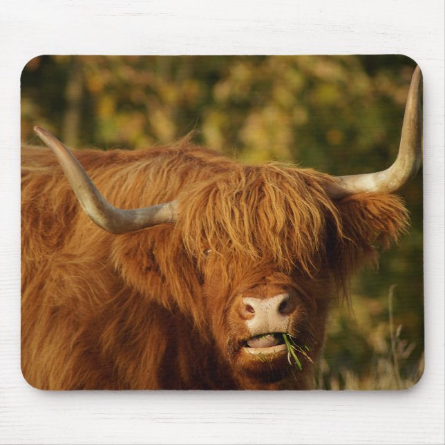 Scottish Highland Cow Mouse Pad (Front)