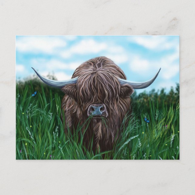 Scottish Highland Cow Painting Postcard (Front)