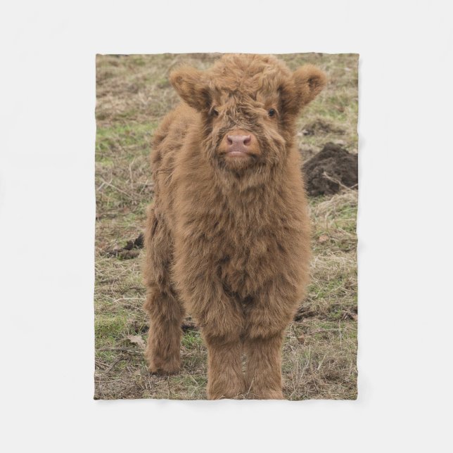 Scottish Highland cow photograph blanket (Front)