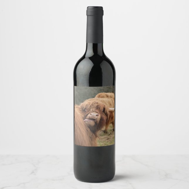 Scottish Highland cow photograph  Wine Label (Front)
