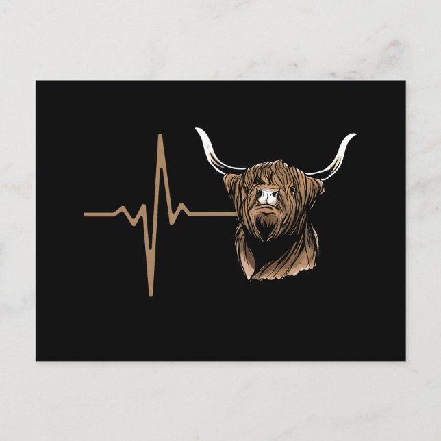 Scottish Highland Cow Postcard (Front)