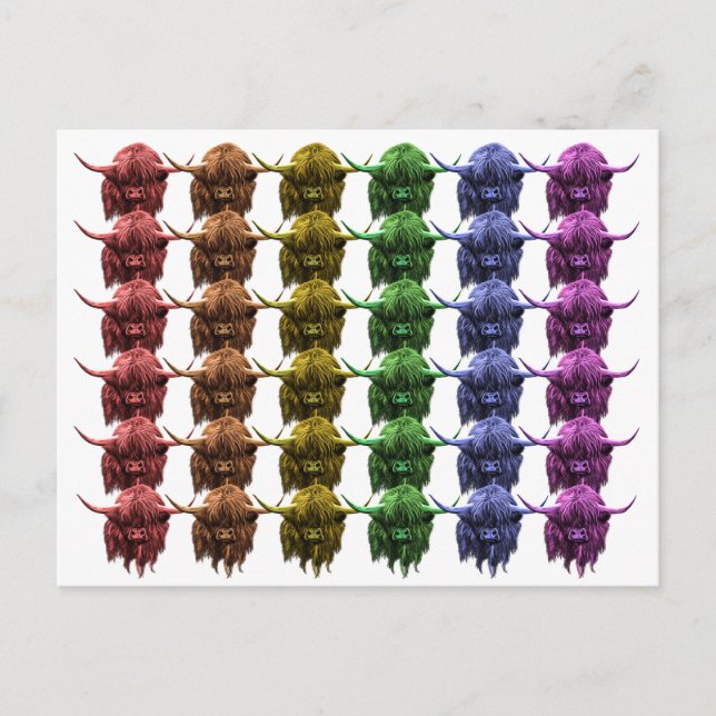 Scottish Highland Cow Postcard (Front)
