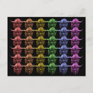 Scottish Highland Cow Postcard