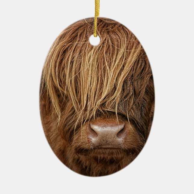 Scottish Highland Cow - Scotland Ceramic Ornament (Front)