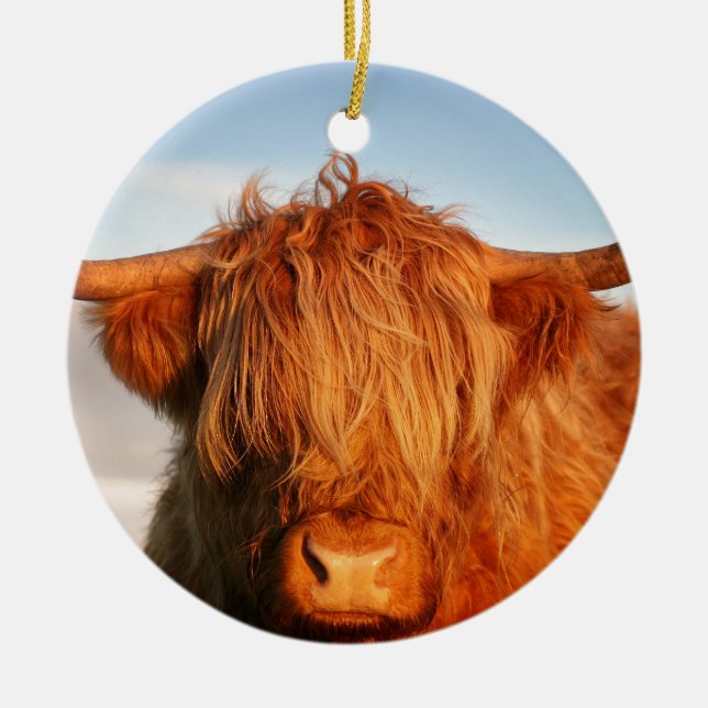 Scottish Highland Cow - Scotland Ceramic Ornament (Front)