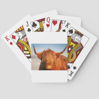 Scottish Highland Cow - Scotland Playing Cards