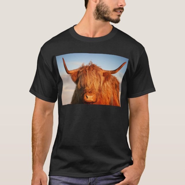 Scottish Highland Cow - Scotland T-Shirt (Front)