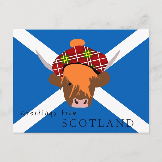 Scottish Highland cow with tartan cap and flag Postcard (Front)
