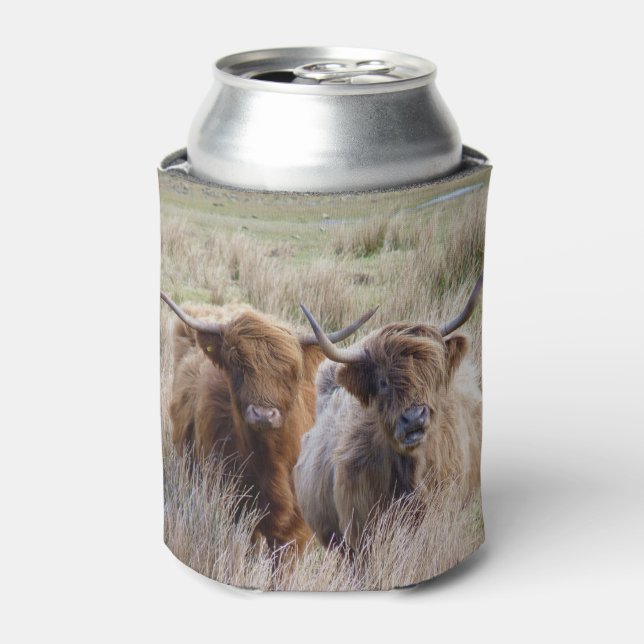 Scottish Highland Cows Can Cooler (Can Front)
